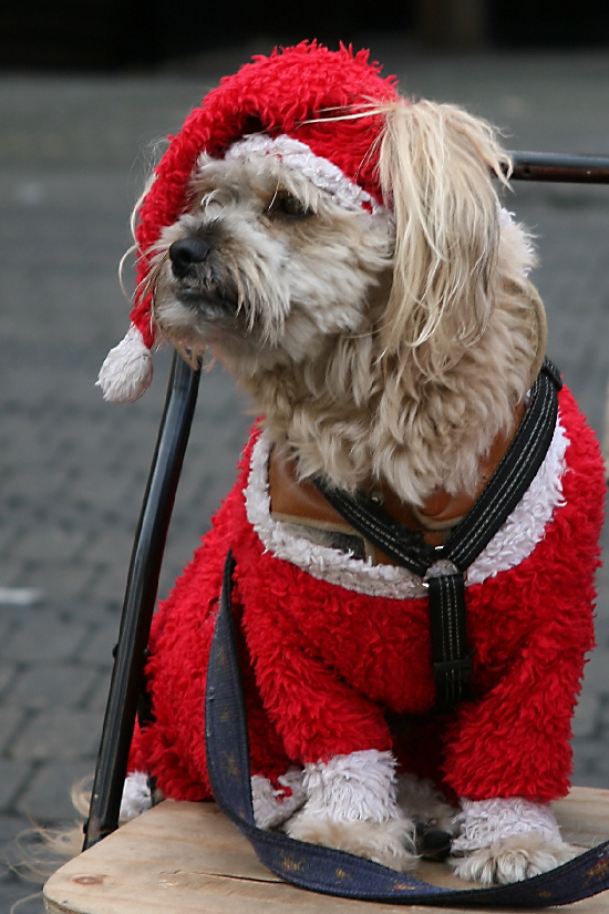 Alte_Herren_Nrnberg_ 2007-12-09_12-52-52